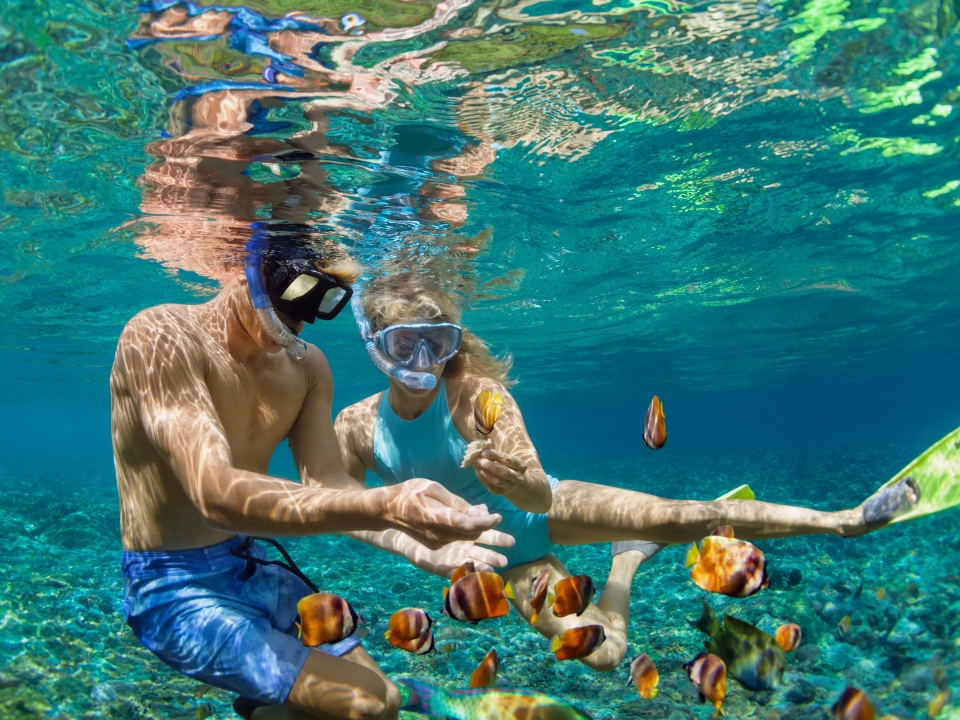 Couple snorkeling