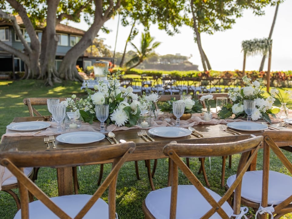 Oceanfront Bungalow Lawn