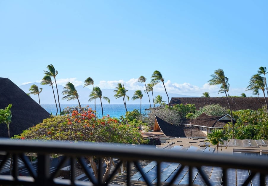 Ocean view from balcony palm trees blowing in the wind