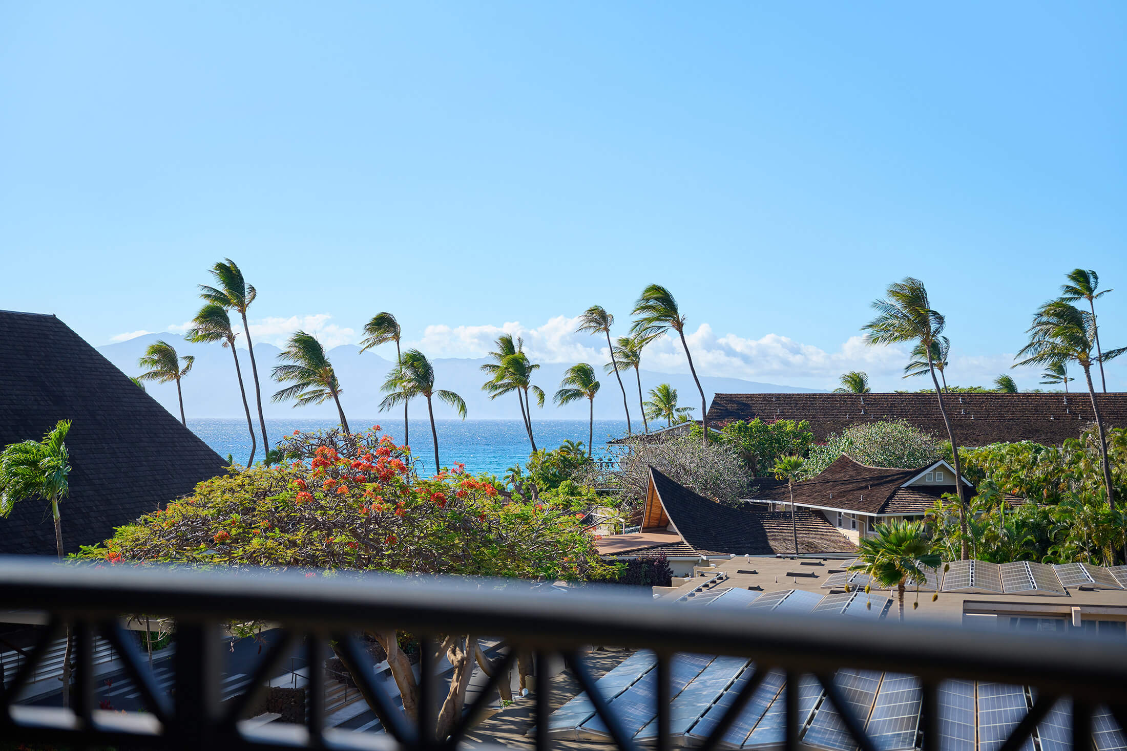 Ocean view from balcony palm trees blowing in the wind