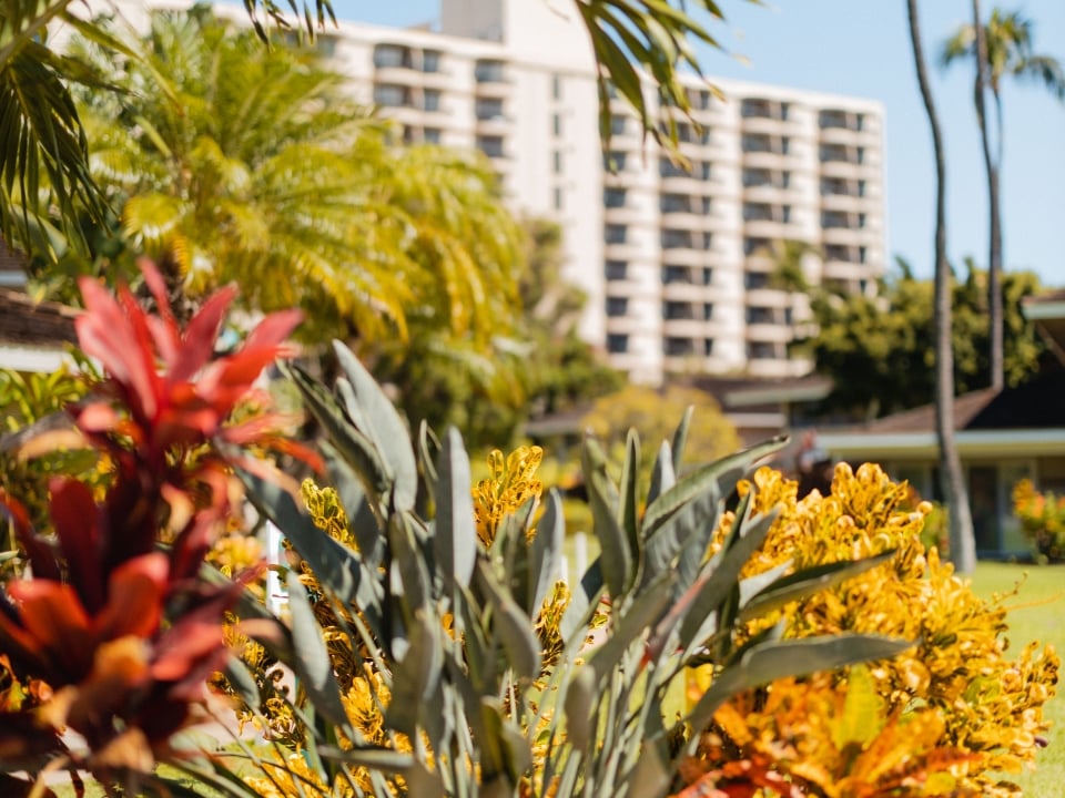 Sustainable Landscaping
