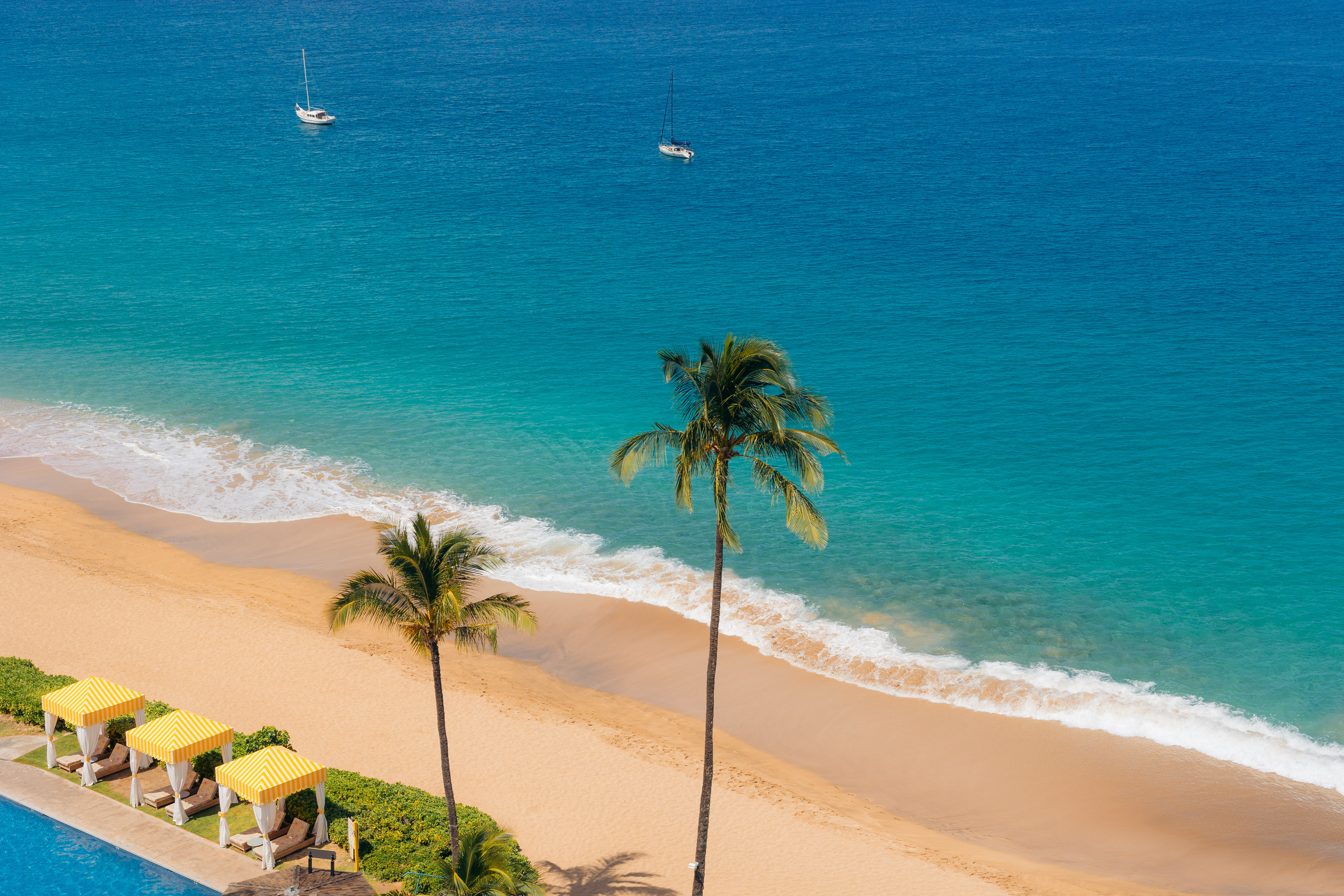 A beach scene with palm trees, yellow cabanas, and a view of the ocean.